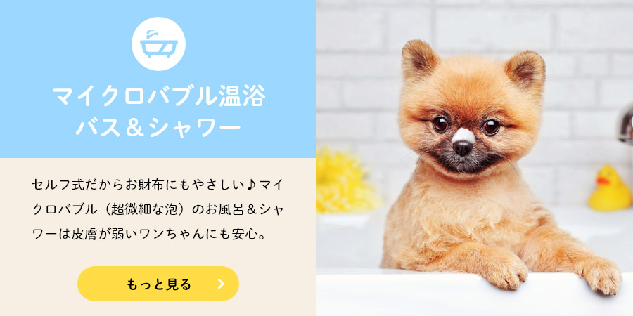 ワンダフロUSA24｜犬のセルフ式お風呂｜昭島